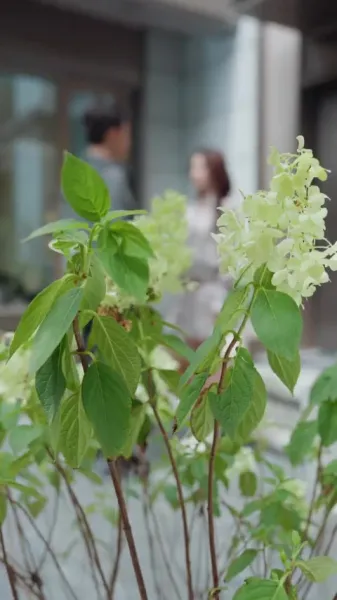 กล้าดียังไงถึงไม่แต่งงานใหม่