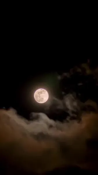 กล้าดียังไงถึงไม่แต่งงานใหม่