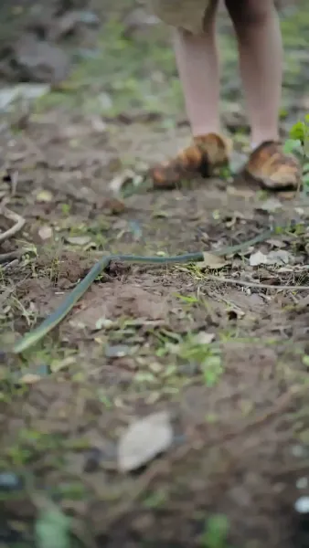 รักท่ามกลางผืนป่า: ที่รักแสนดุร้าย