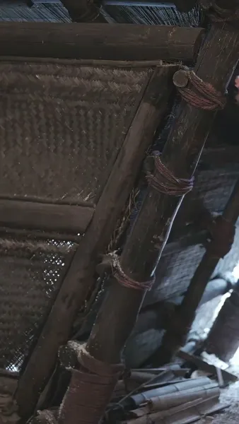 รักท่ามกลางผืนป่า: ที่รักแสนดุร้าย