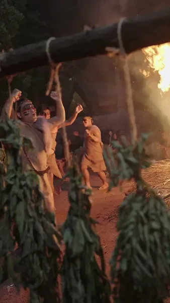 รักท่ามกลางผืนป่า: ที่รักแสนดุร้าย