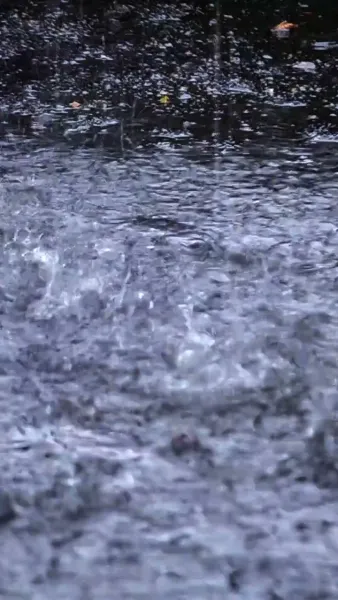 เลขาที่รักโปรดอย่าหนีไป