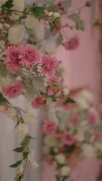 เลขาที่รักโปรดอย่าหนีไป