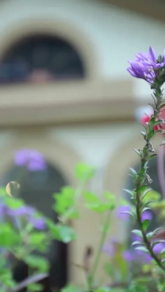 เลขาที่รักโปรดอย่าหนีไป