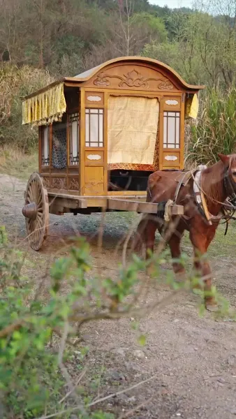 ย้อนเวลากลับไปเป็นฮ่องเต้