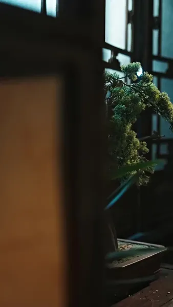 ย้อนเวลากลับไปเป็นฮ่องเต้