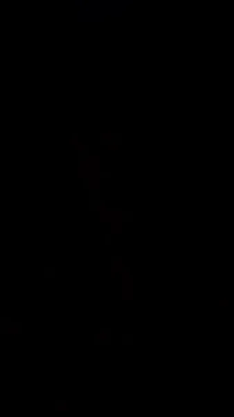 ประธานรูปหล่อขอเป็นคนจน