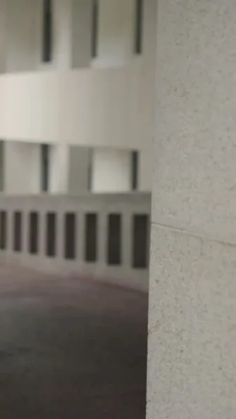 ดาวดวงใหม่บนฟ้าเดิม