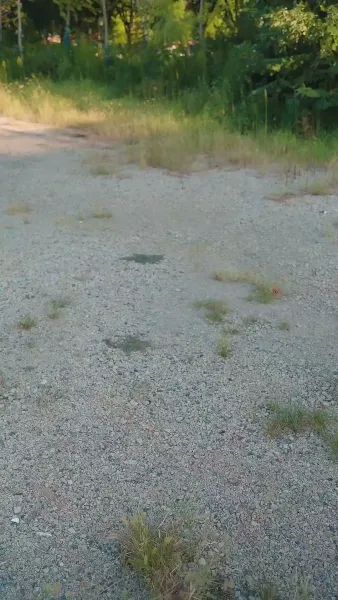 ไม่ใช่ตัวเอก แค่ผู้ช่วย