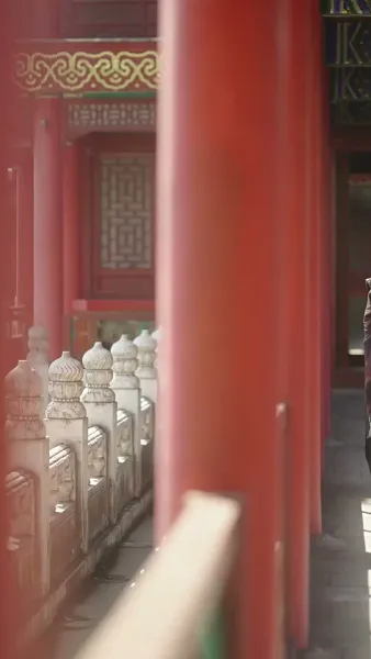 สัญญารักใต้เงาจันทร์