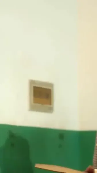 คุณหนูทุนนิยมมุ่งสู่เกาะหาสามี