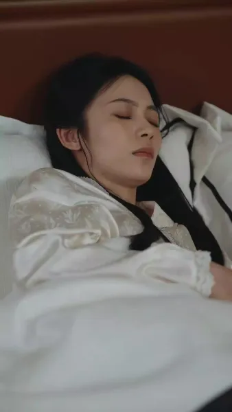 เซอร์วานต์ที่มีภารกิจซ่อนเร้น