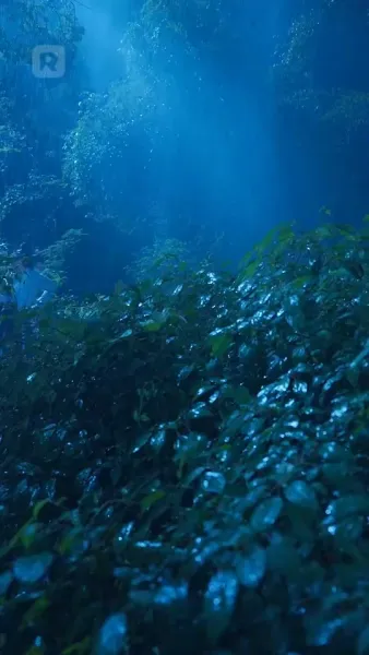 ปฏิเสธที่จะเป็นตัวละครรัก