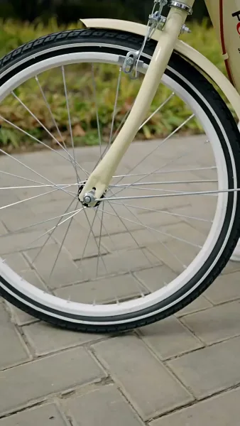 รักนี้ไม่มีคำว่าแก่