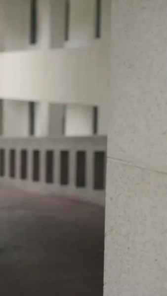 (พากย์เสียง)ดาวดวงใหม่บนฟ้าเดิม