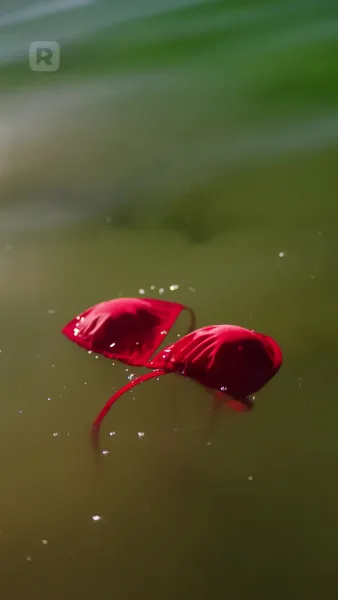 ชายที่ฉันเกลียด