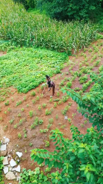 รักสุดใจของ ท่านประธานหน้าตาย