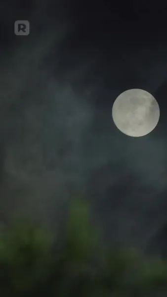 วิวาห์ฟ้าแลบกับภรรยาสุดแสบ