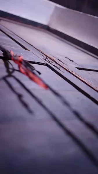 เมื่อหัวใจเลิกยื้อ