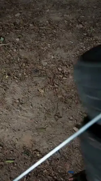 รักต้องห้ามในเงาหมอก