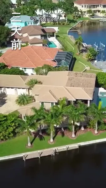 หย่าแล้วคุณหลินโสดเริดเชิด