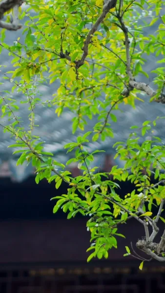 คืนบัลลังก์รัชทายาท