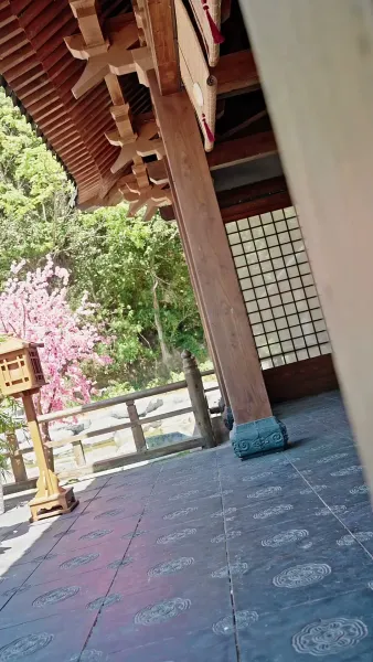 คืนบัลลังก์รัชทายาท