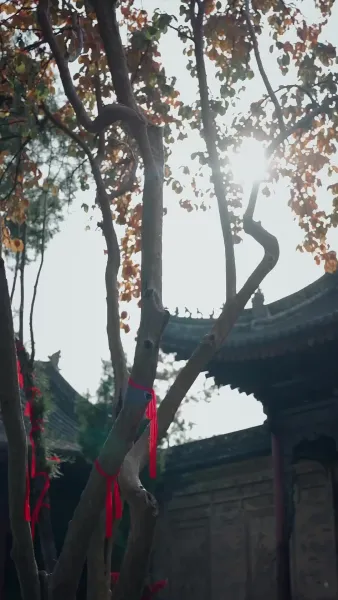 หัวใจที่ไม่รอคอย