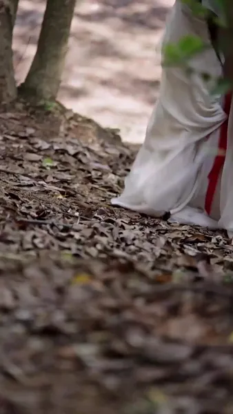 [พากย์ไทย] หงส์ลิขิตรักข้ามแดน