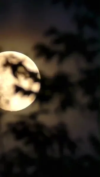 สาวบ้านนอกป่วนใจนายพล(พากย์ไทย)