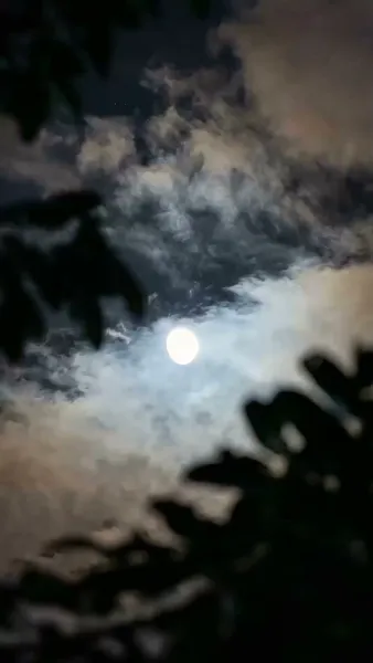 สาวบ้านนอกป่วนใจนายพล(พากย์ไทย)