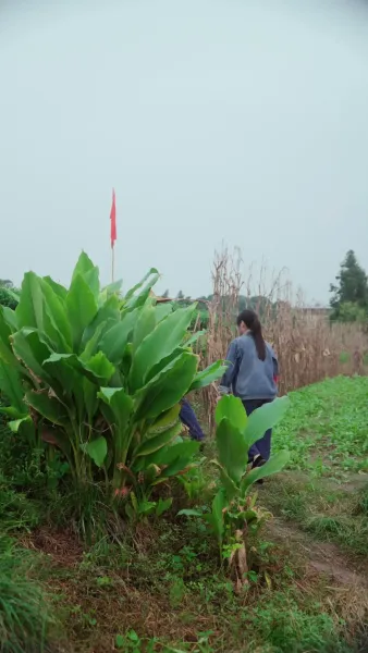 ย้อนกลับไปโดนแม่ผัวหลงรัก