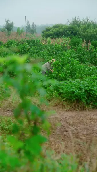 ย้อนกลับไปโดนแม่ผัวหลงรัก