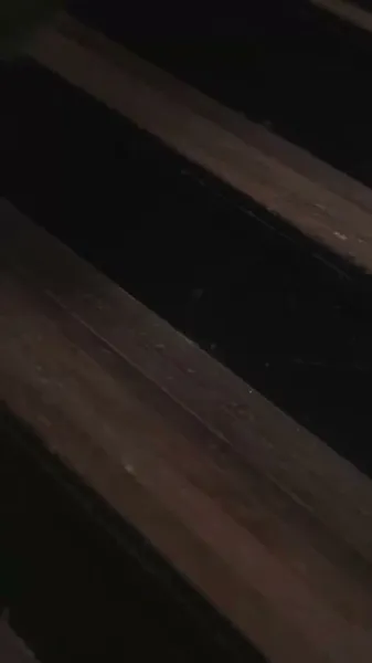 ติดกับในสายน้ำที่เงียบสงบ