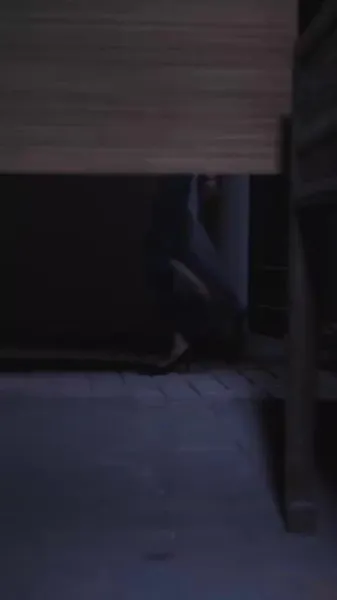 ติดกับในสายน้ำที่เงียบสงบ