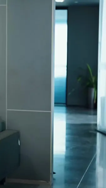 รักสายฟ้า แม่บ้านกับบอสใหญ่