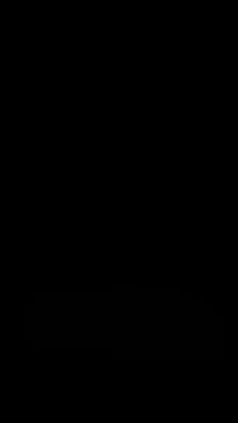 รักสายฟ้า แม่บ้านกับบอสใหญ่