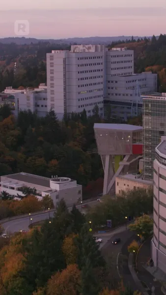 อดีตสามีในสัญญา กับหัวใจที่ยังตามฉัน