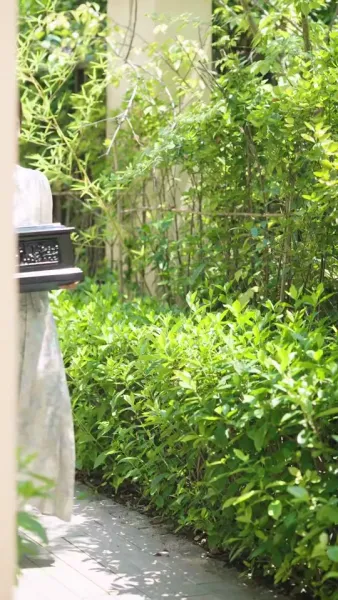 แต่งฟ้าแลบ หมอลับในหัวใจฉัน