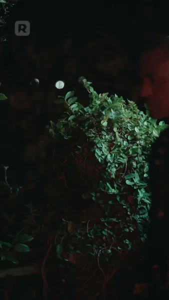 ศัตรูอัลฟ่าของฉัน