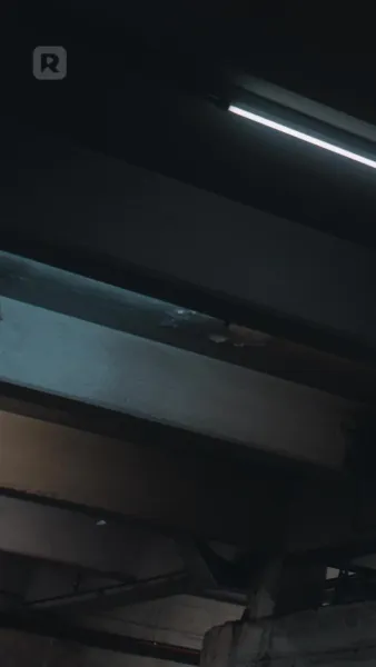 ศัตรูอัลฟ่าของฉัน