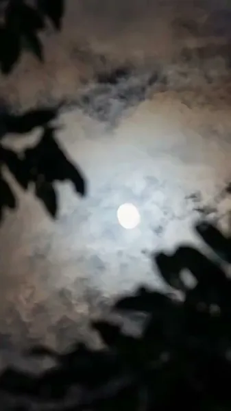 คู่หมั้นจากหุบเขา