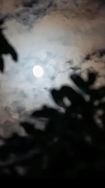 คู่หมั้นจากหุบเขา