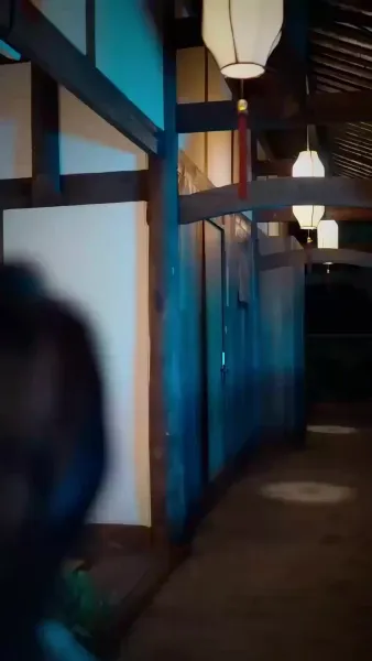 ปรมาจารย์ตาบอด(พากย์ไทย)