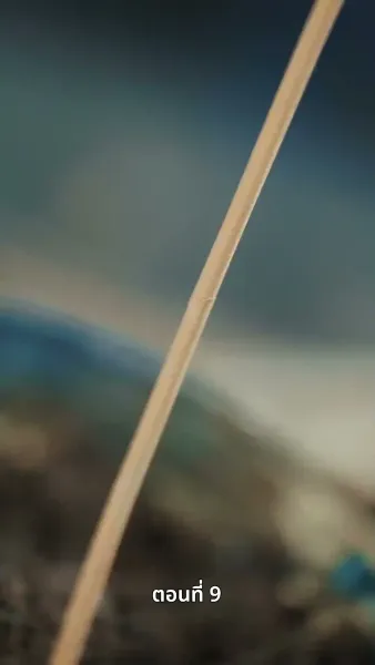 ตรมรักสามชาติมิอาจเลือน