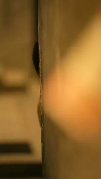 ข้ามเวลาไปแต่งกับพ่อหม้าย(พากย์ไทย)