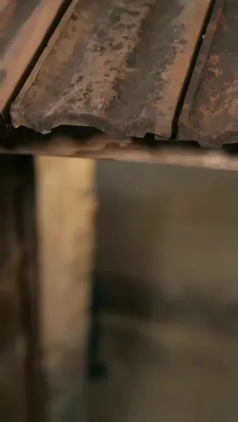 ข้ามเวลาไปแต่งกับพ่อหม้าย(พากย์ไทย)