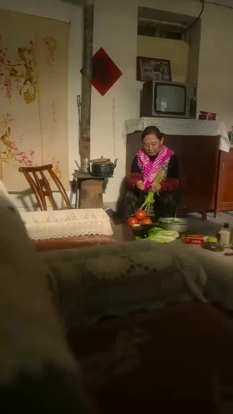 ข้ามเวลาไปแต่งกับพ่อหม้าย(พากย์ไทย)