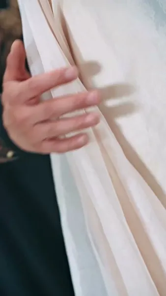 หงส์ลิขิตรักข้ามแดน