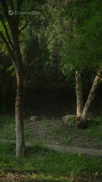 พันธะรักร็อกอัลฟ่า